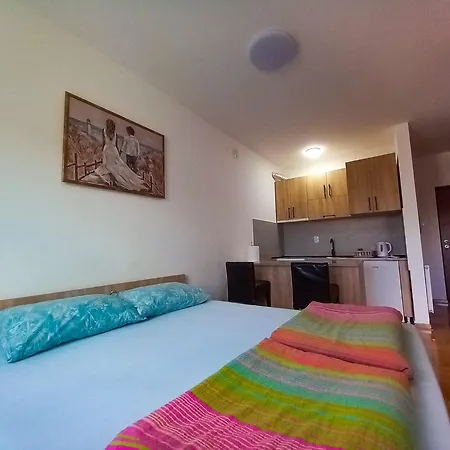 Sovica 2 *