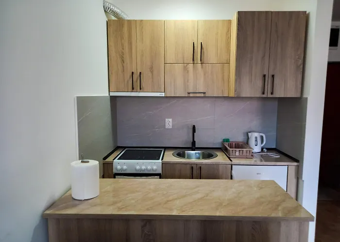 Daire Sovica 2 Temerin